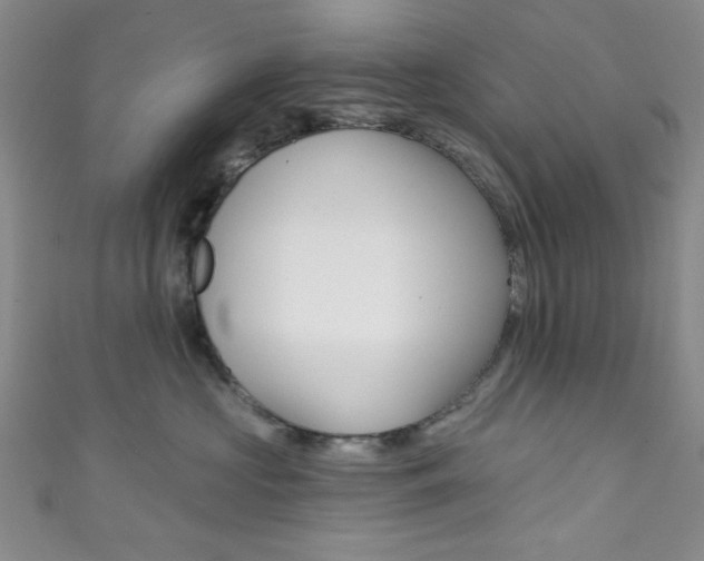 X0000111830573200907231025