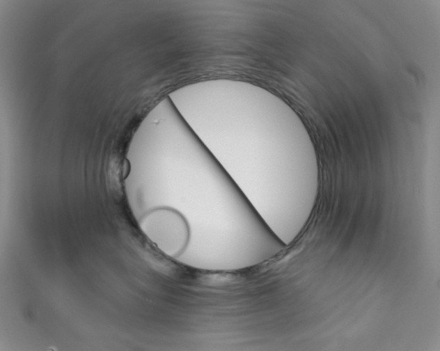 X0000111830575200907231025