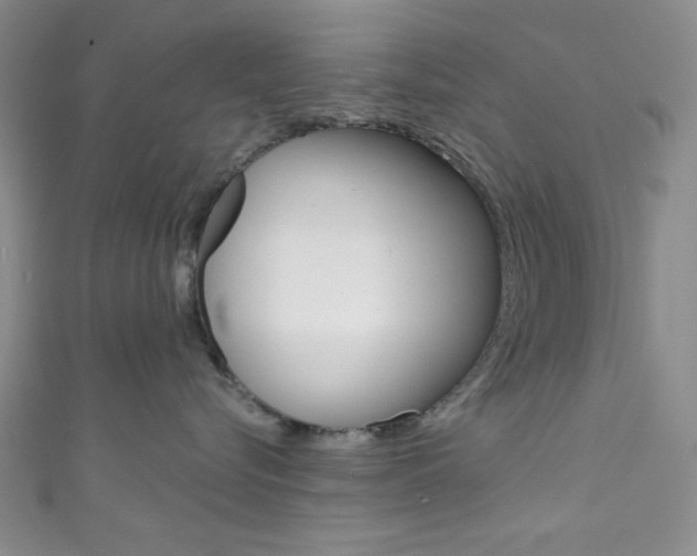 X0000111830576200907231025