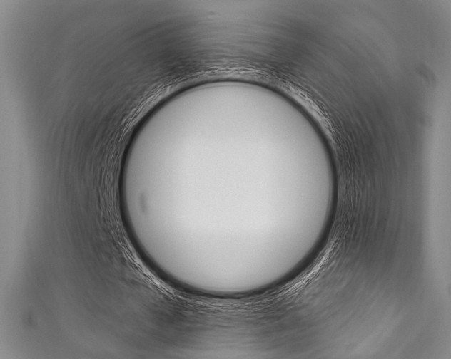 X0000111830577200907231024