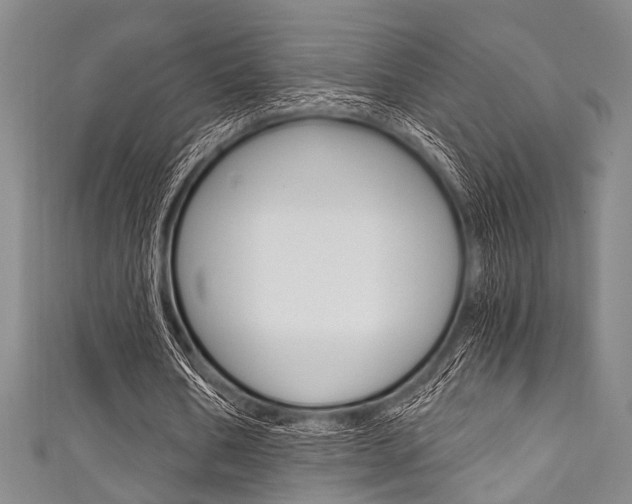 X0000111830578200907231024