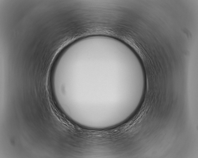 X0000111830579200907231024