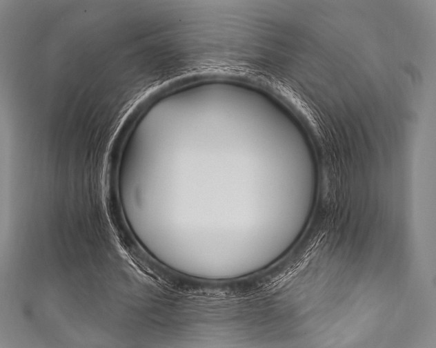 X0000111830580200907231024