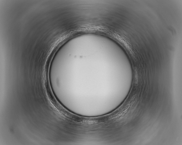 X0000111830582200907231024