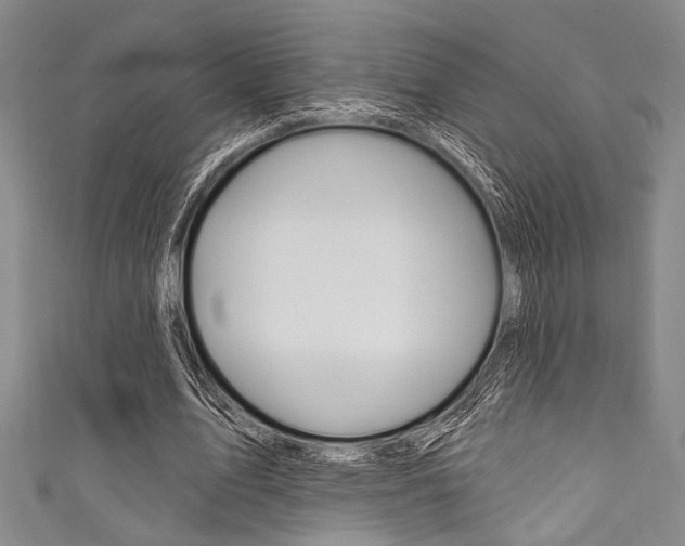 X0000111830583200907231024