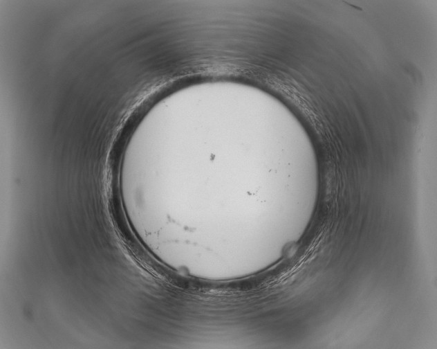 X0000111830584200907231024
