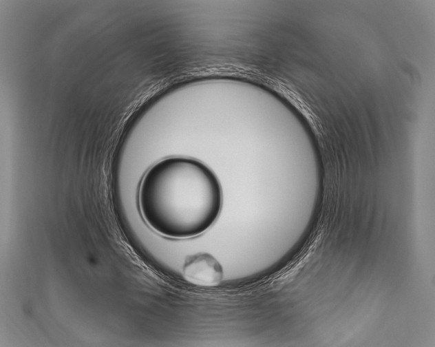 X0000111830585200907231024