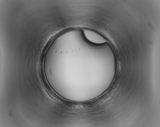 X0000111830588200907231024