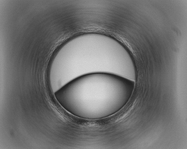 X0000111830589200907231024
