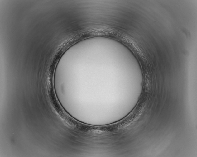 X0000111830590200907231024