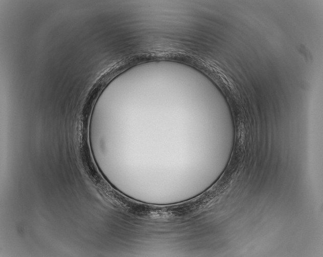 X0000111830591200907231024