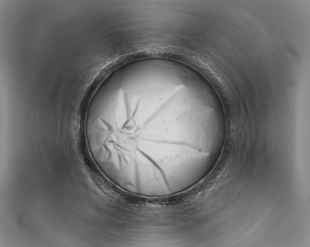 X0000111830592200907231024