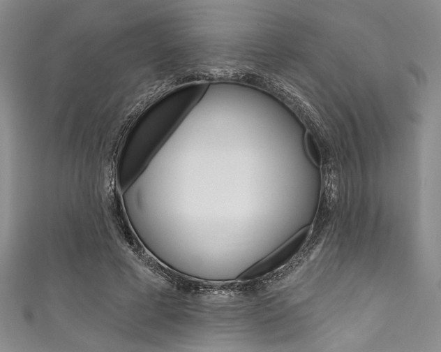 X0000111830593200907231024