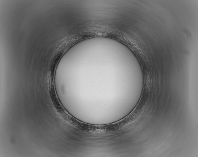 X0000111830594200907231024