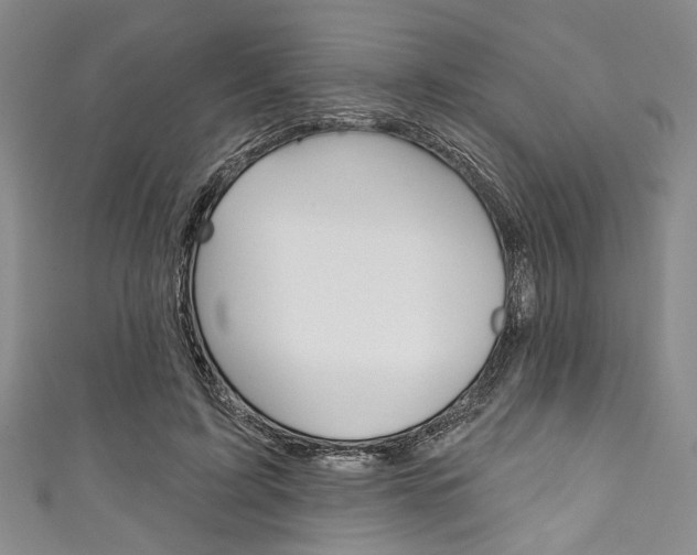 X0000111830595200907231024