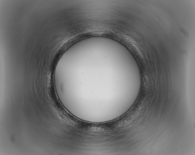 X0000111830596200907231024