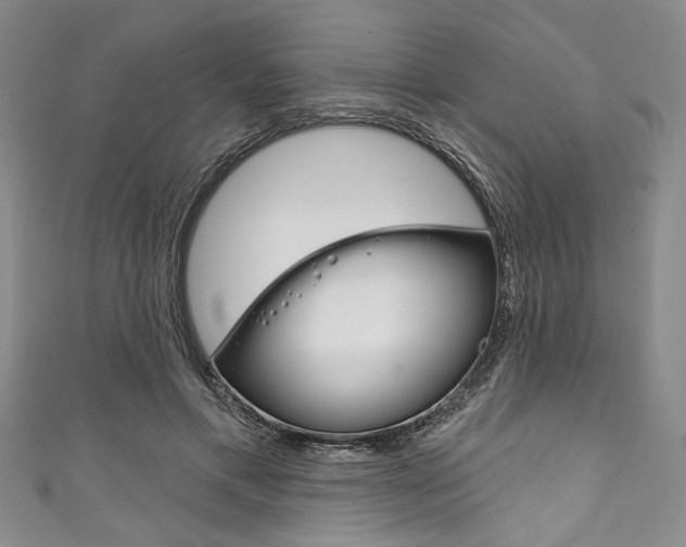 X0000111830597200907231024