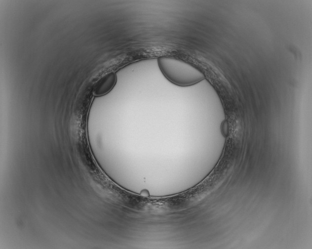 X0000111830599200907231024