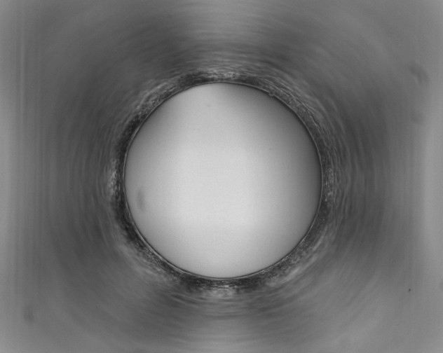 X0000111830600200907231024