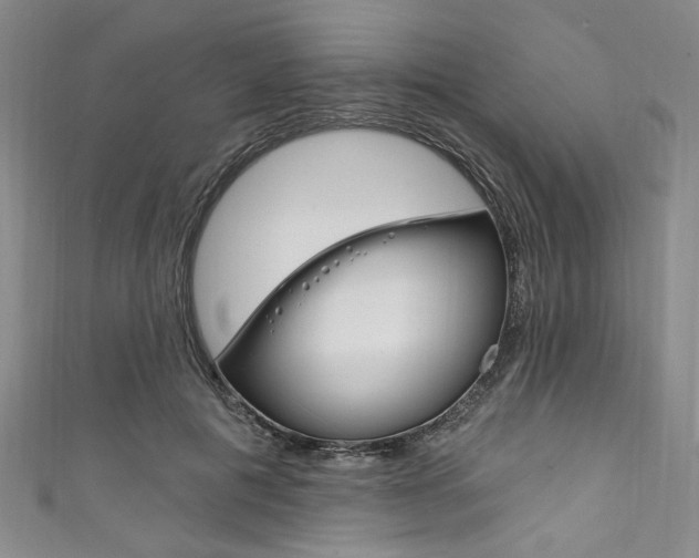 X0000111830601200907231024