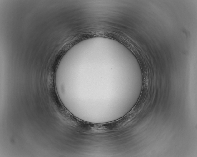 X0000111830603200907231024