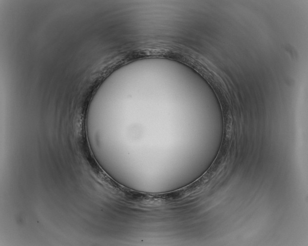 X0000111830604200907231024