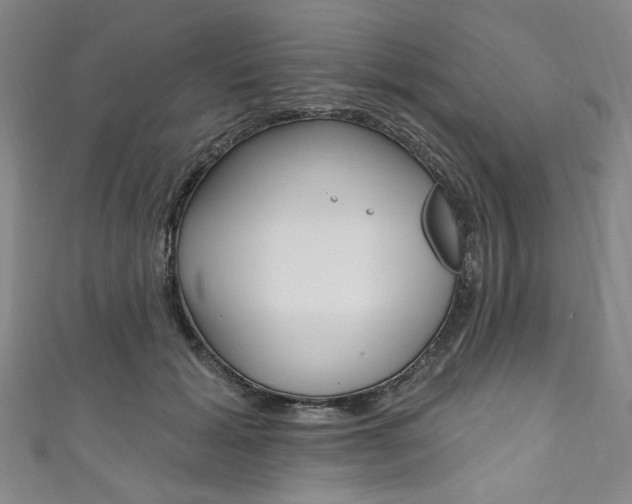 X0000111830605200907231024