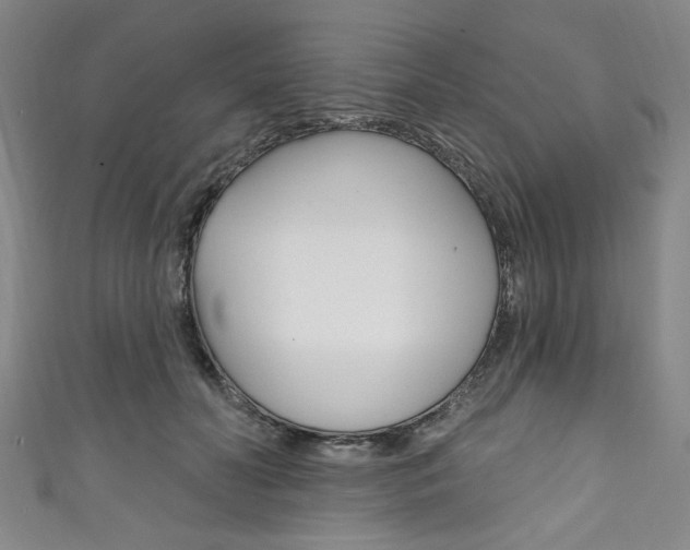 X0000111830606200907231024
