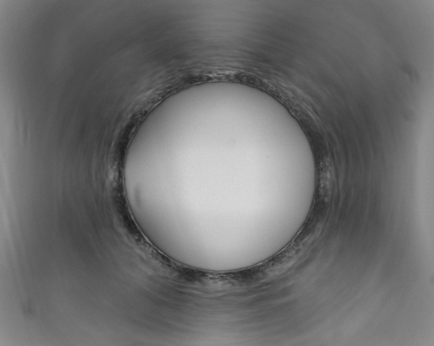 X0000111830608200907231024