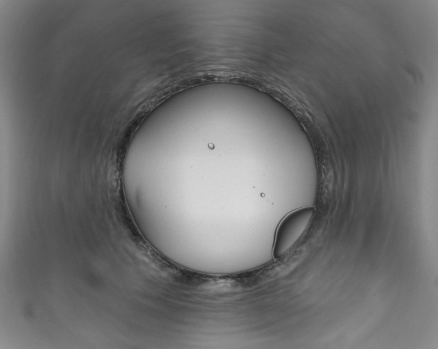 X0000111830609200907231023