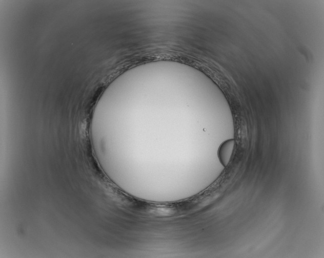 X0000111830610200907231023