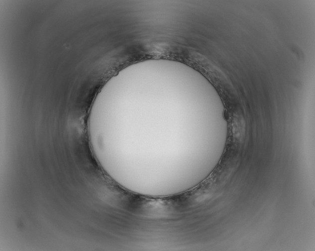 X0000111830611200907231023