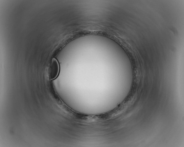 X0000111830612200907231023