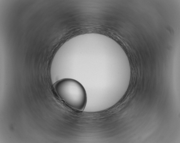 X0000111830613200907231023