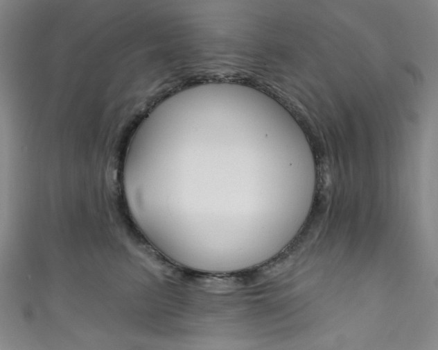 X0000111830615200907231023
