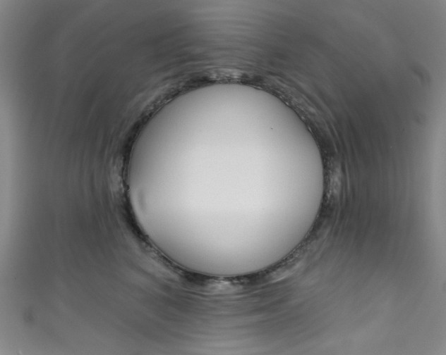 X0000111830616200907231023