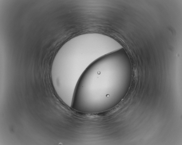 X0000111830617200907231023