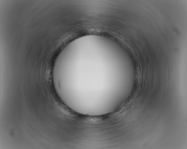 X0000111830619200907231023