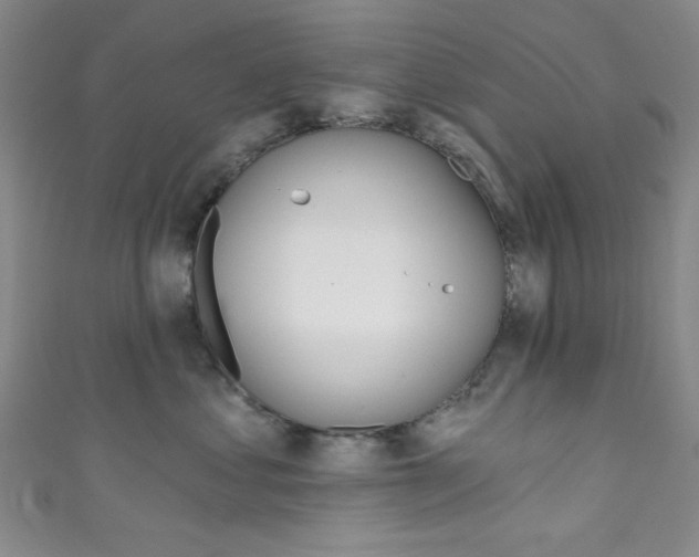 X0000111830621200907231023