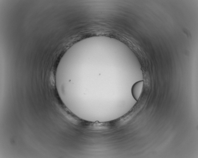 X0000111830622200907231023