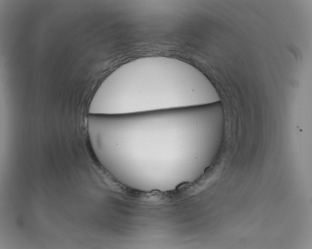 X0000111830624200907231023