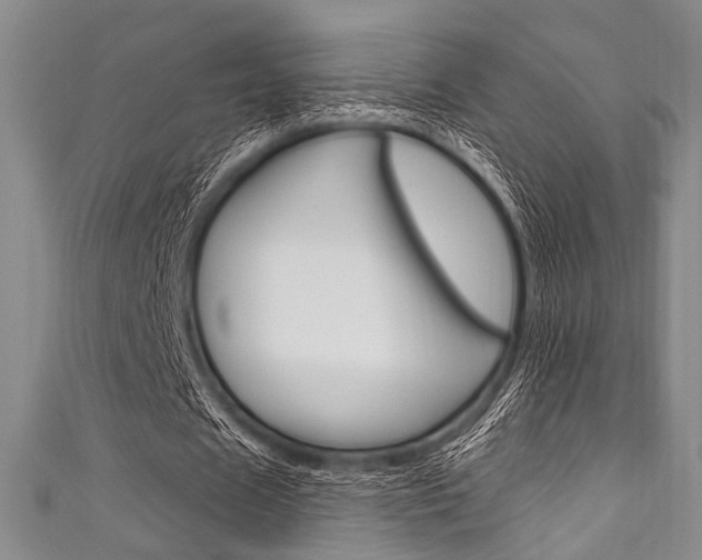 X0000111830625200907231023