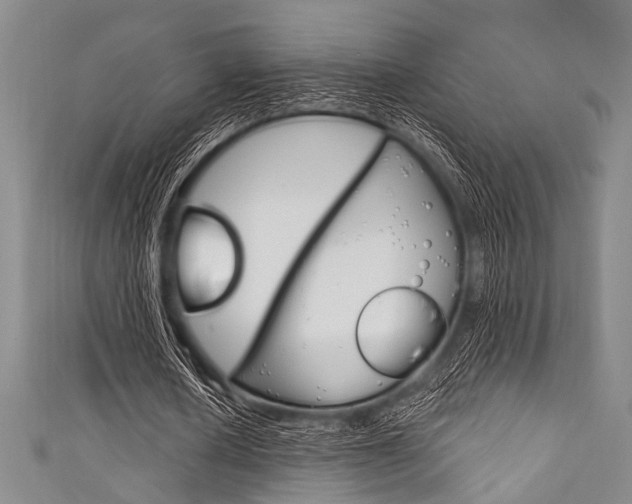 X0000111830626200907231023