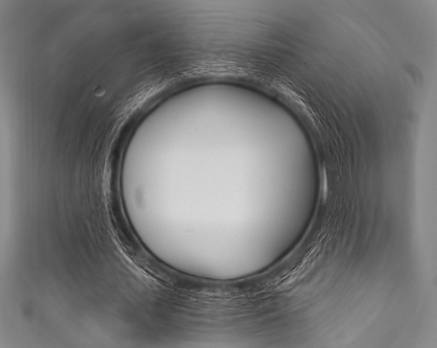 X0000111830627200907231023