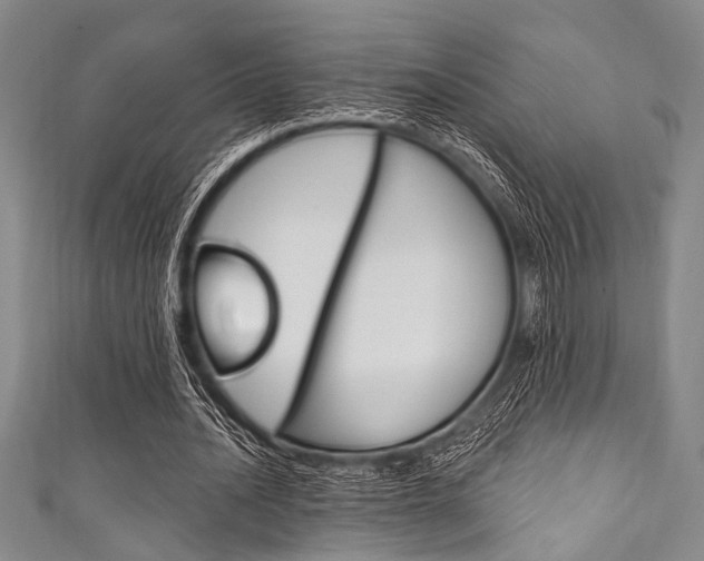 X0000111830628200907231023
