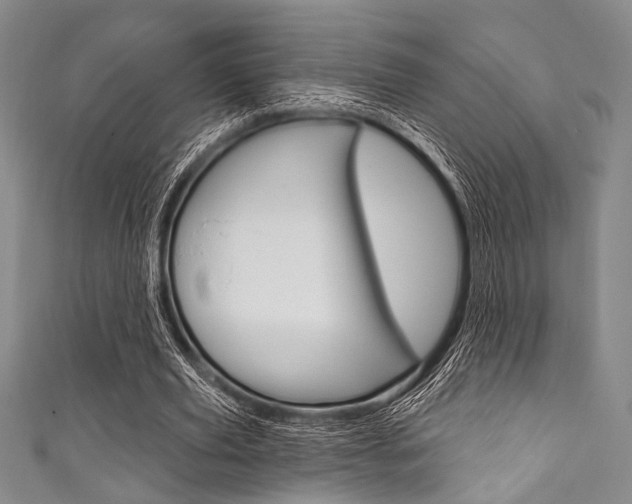 X0000111830629200907231023
