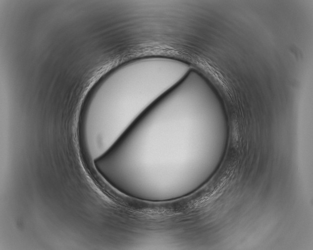 X0000111830630200907231023
