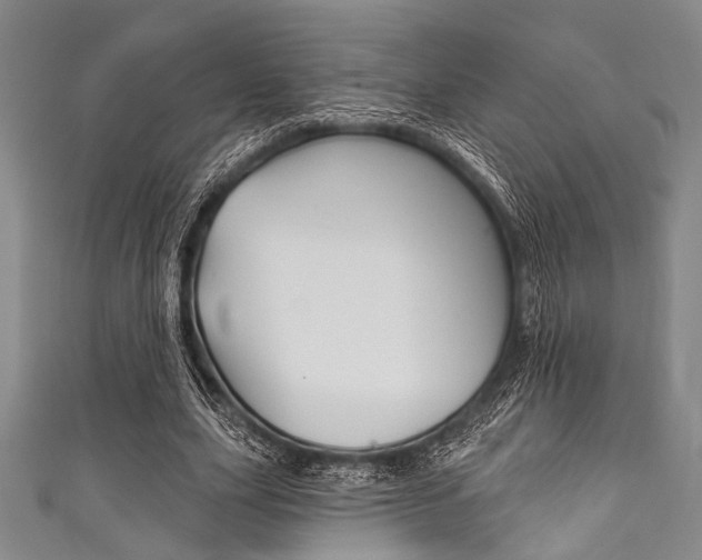 X0000111830631200907231023