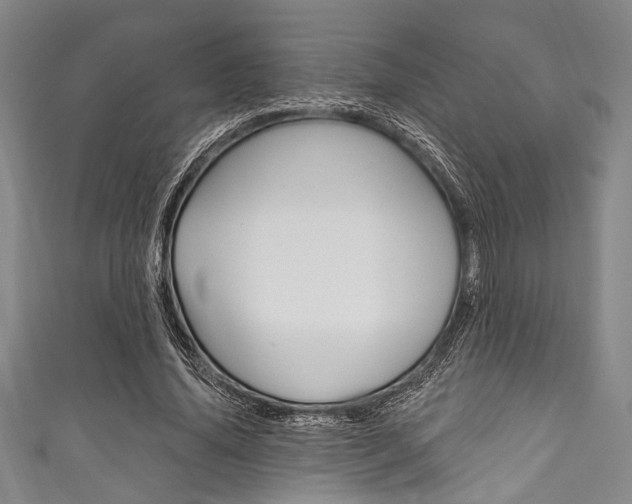 X0000111830636200907231023