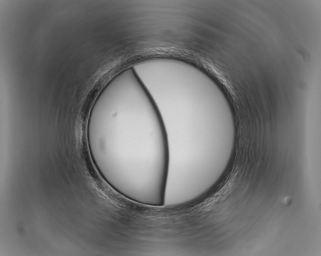 X0000111830637200907231023